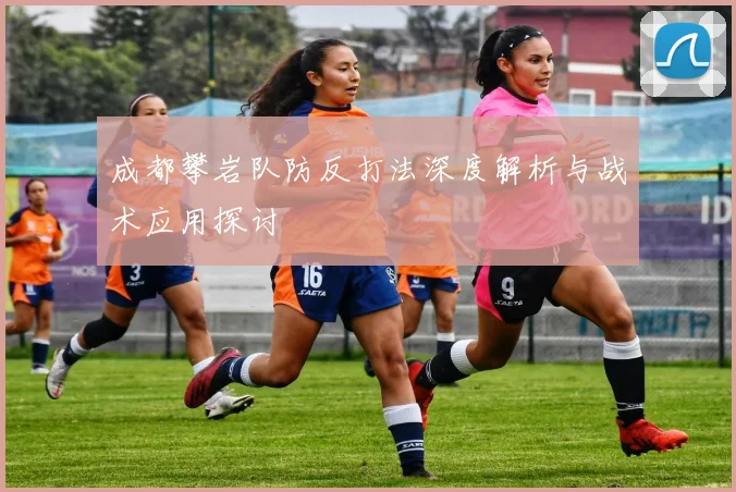 成都攀岩队防反打法深度解析与战术应用探讨