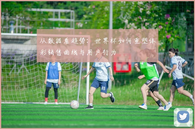 从数据看趋势：世界杯如何重塑体彩销售曲线与用户行为