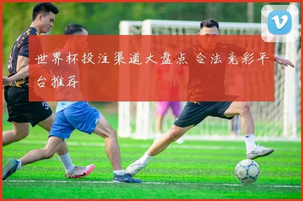 世界杯投注渠道大盘点 合法竞彩平台推荐