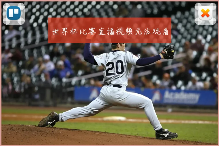 世界杯比赛直播视频无法观看