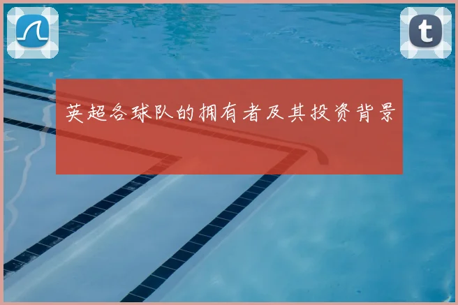 英超各球队的拥有者及其投资背景