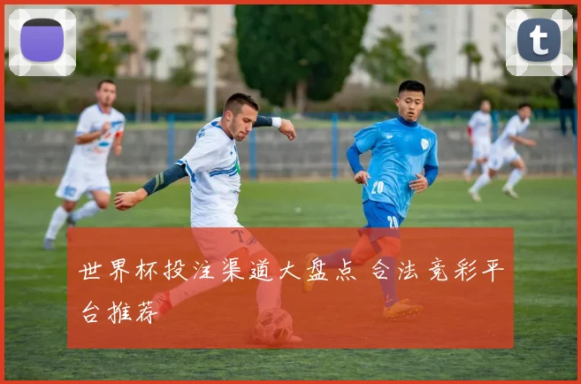 世界杯投注渠道大盘点 合法竞彩平台推荐