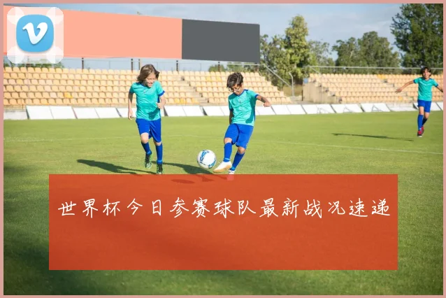 世界杯今日参赛球队最新战况速递