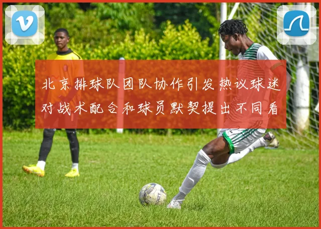 北京排球队团队协作引发热议球迷对战术配合和球员默契提出不同看法