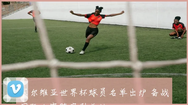 塞尔维亚世界杯球员名单出炉 备战国际大赛阵容引关注