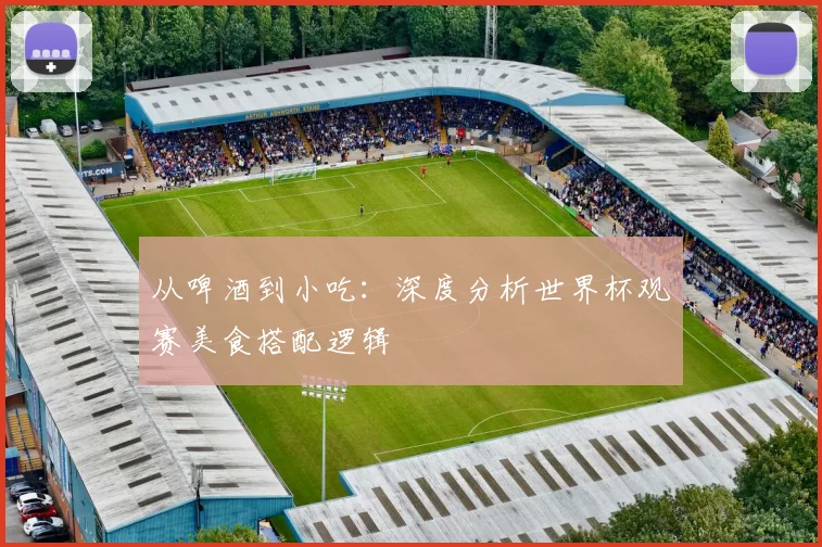 从啤酒到小吃：深度分析世界杯观赛美食搭配逻辑