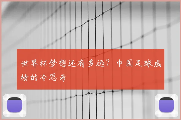 世界杯梦想还有多远？中国足球成绩的冷思考