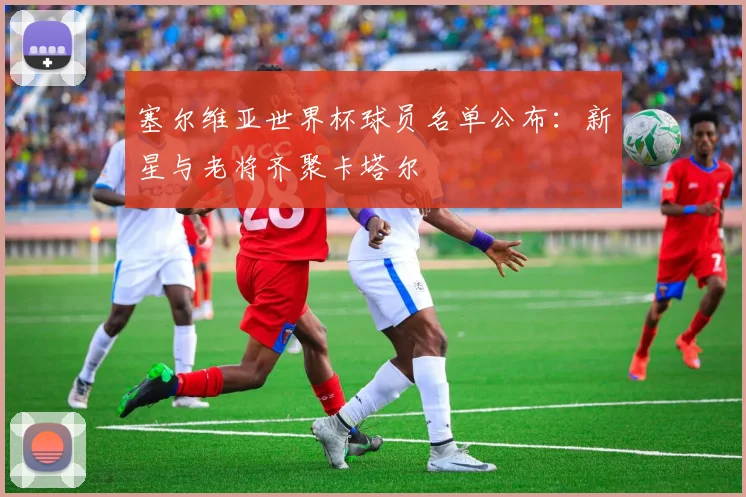 塞尔维亚世界杯球员名单公布：新星与老将齐聚卡塔尔