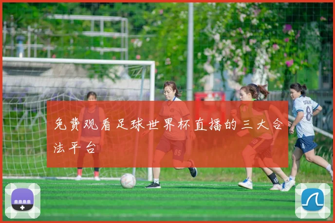免费观看足球世界杯直播的三大合法平台