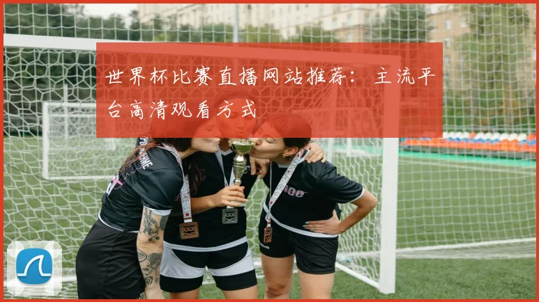 世界杯比赛直播网站推荐：主流平台高清观看方式