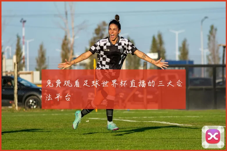免费观看足球世界杯直播的三大合法平台