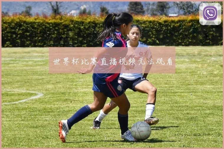 世界杯比赛直播视频无法观看