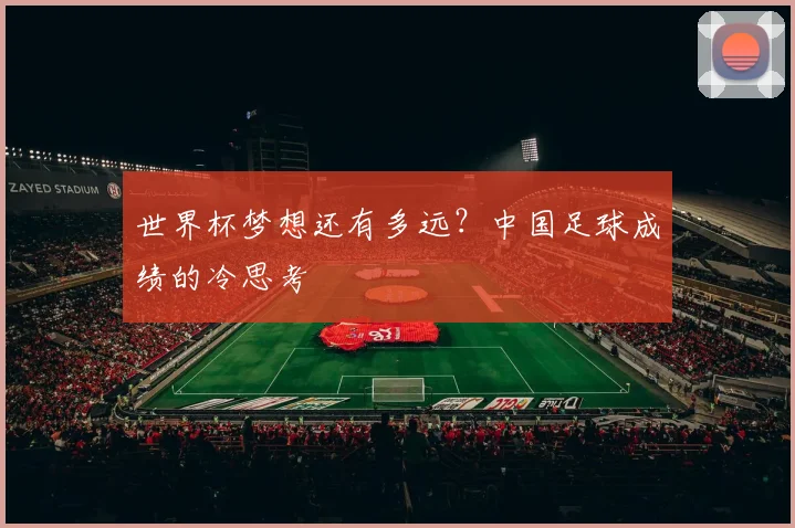 世界杯梦想还有多远？中国足球成绩的冷思考