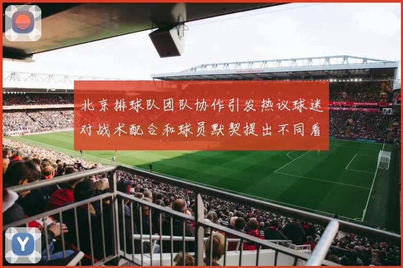 北京排球队团队协作引发热议球迷对战术配合和球员默契提出不同看法