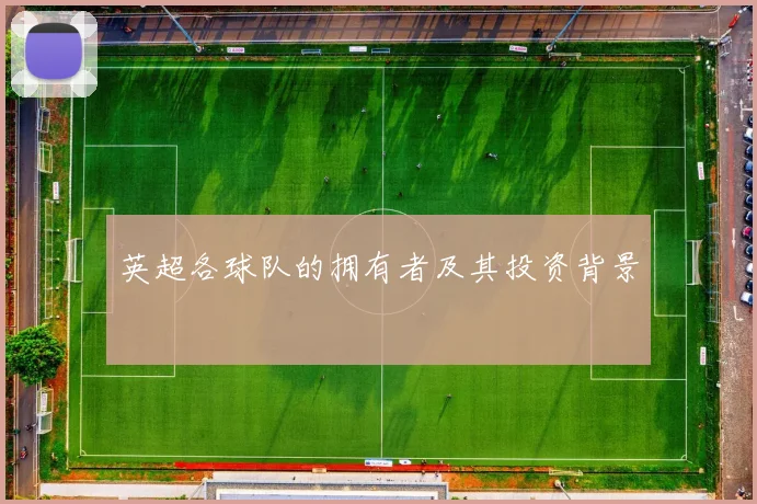 英超各球队的拥有者及其投资背景