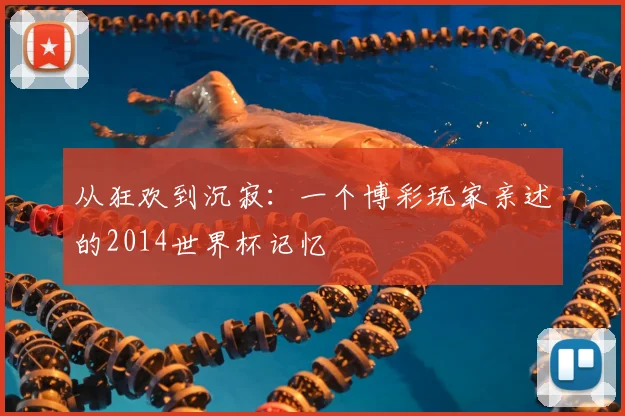 从狂欢到沉寂:一个博彩玩家亲述的2014世界杯记忆